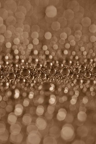 Subtle Sparkle – Atmospheric bronze-coloured bokeh with water droplets by Marjolijn van den Berg