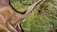 Drowned Land.