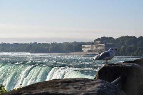 Vue des chutes un matin d'été