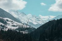 Swiss Alps