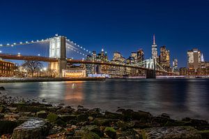 Brooklyn Nights