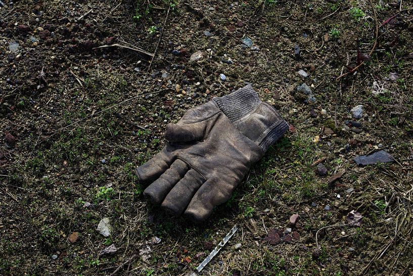 Handschuhe, verloren, vergessen von Norbert Sülzner