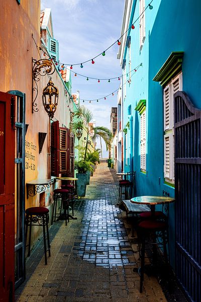 Alley Mundo Bizarro, Curaçao par studio photoflash
