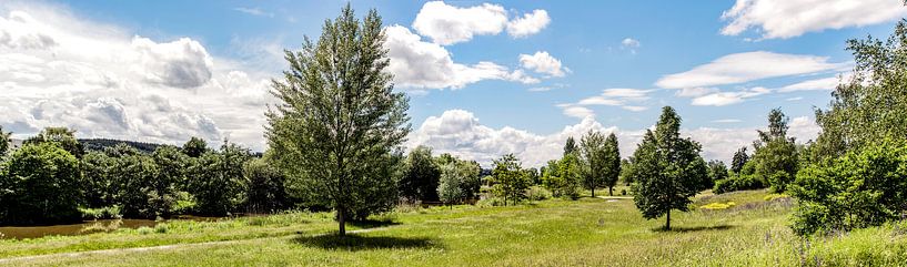 Auland von Christine Nöhmeier