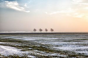 Polderlandschap in winter van Jan Sportel Photography