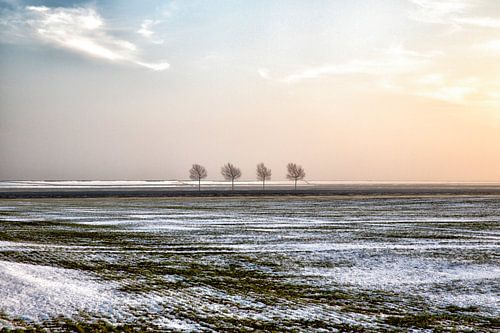 Polderlandschaft im Winter