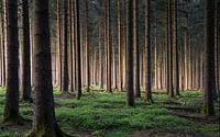 Eifel, Nordrhein-Westfalen, Deutschland von Alexander Ludwig Miniaturansicht