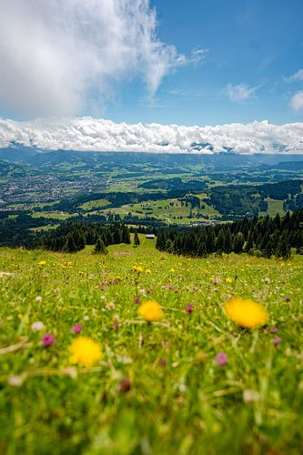 Bloemrijk uitzicht op de Oberallgäu en de laaghangende bewolking