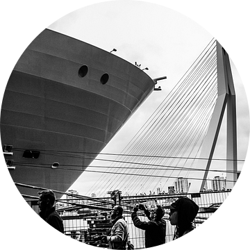 Harmony of the Seas | Rotterdam | 2016 van Shui Fan
