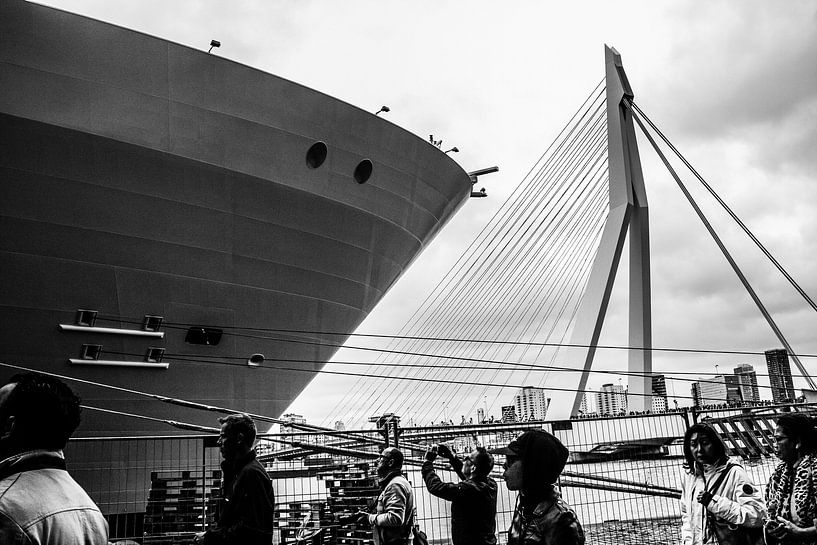 Harmony of the Seas | Rotterdam | 2016 von Shui Fan