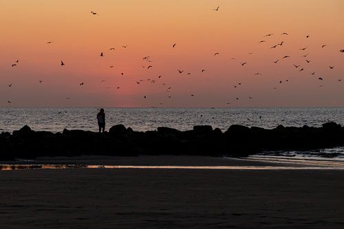 a lonely walk on the beach