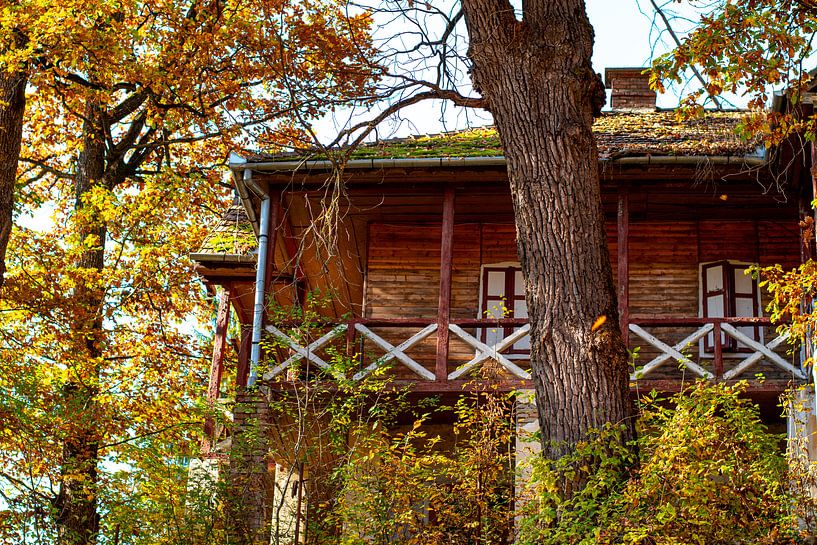 Autumn house by Amber de Jongh