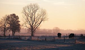 Hollands landschap bij ochtendgloren van Affect Fotografie