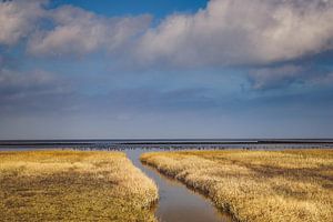 Salt marsh by rosstek ®