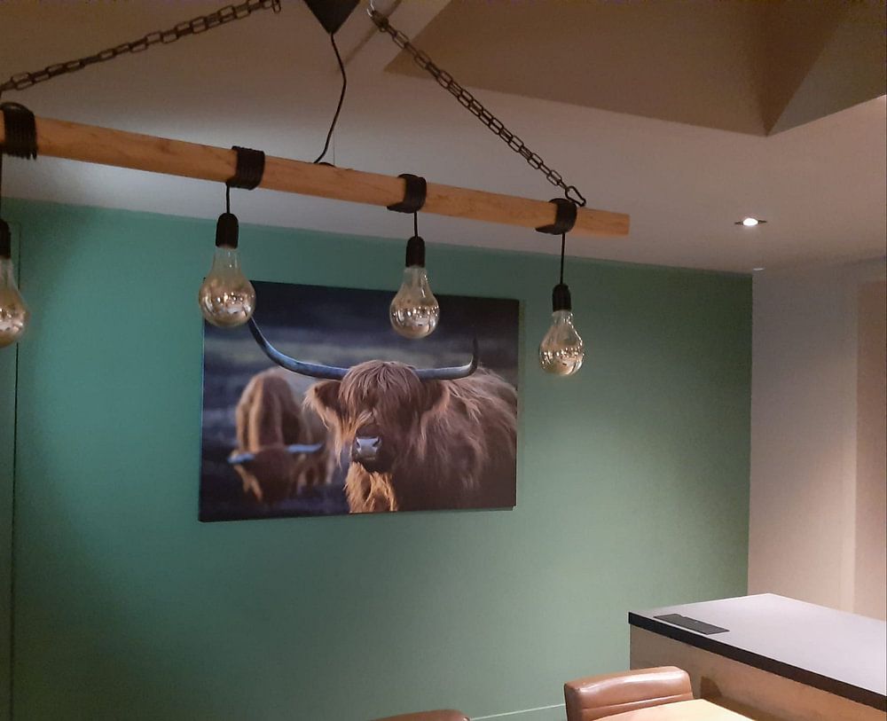 Schotse Hooglander bij avondlicht. Gouden uur. van Henk Van Nunen Fotografie