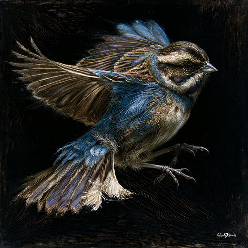 vogeltje in olieverf