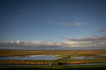 Paysage de marais salants sur la côte des Wadden de Groningue sur Bo Scheeringa Photography