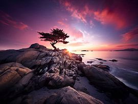 Sunset by the sea