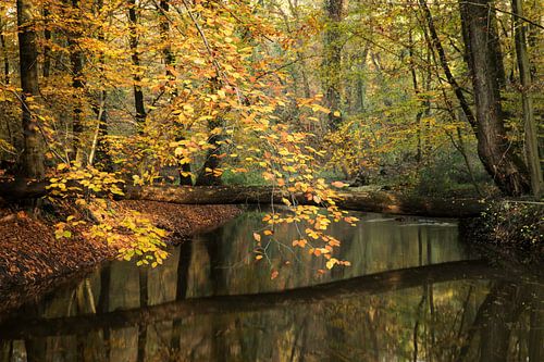 Bekendelle, Winterswijk-Woold von Natuurlijk Achterhoek