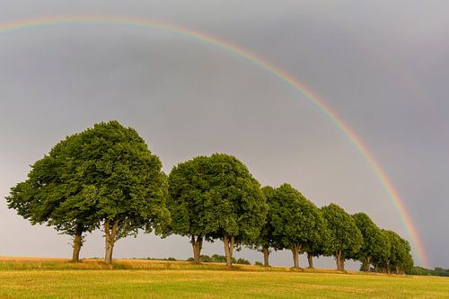Lindenlaan Skane