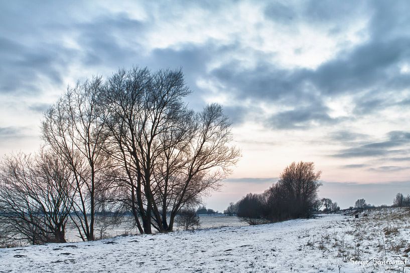 Winter Treescape by Serge Sanramat