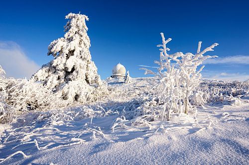 Dromerig winterlandschap op de Wasserkuppe in de Rhön