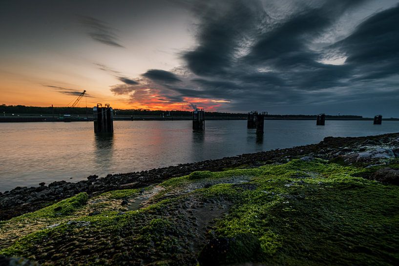 The portal of Flanders by Wesley Kole