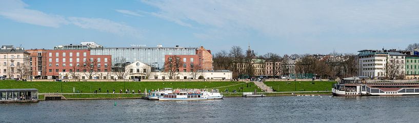 The Wawel River in Krakow by Werner Lerooy