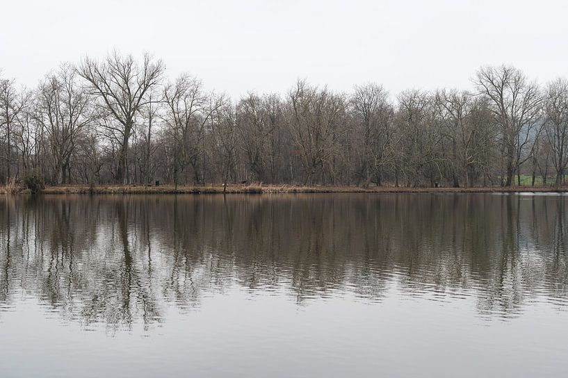 Reflecting bare trees in the pond of the provincial domain, Brab van Werner Lerooy
