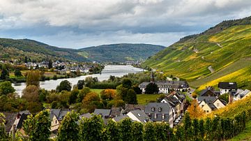 Vue sur la Moselle, Allemagne sur Adelheid Smitt