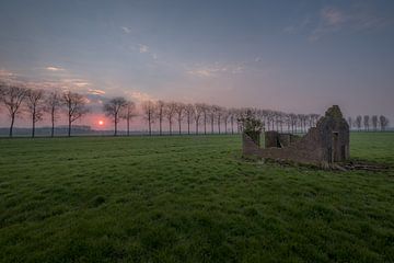 Vervallen schuurtje in weiland von Moetwil en van Dijk - Fotografie