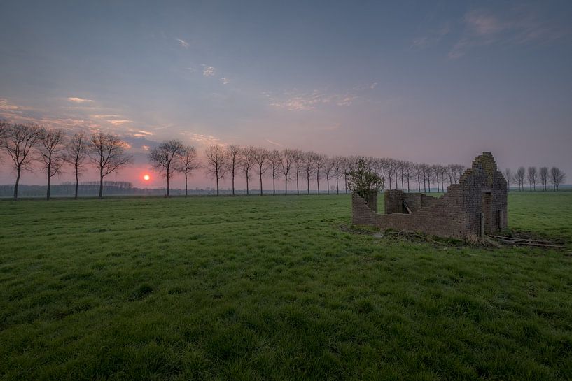 Vervallen schuurtje in weiland by Moetwil en van Dijk - Fotografie