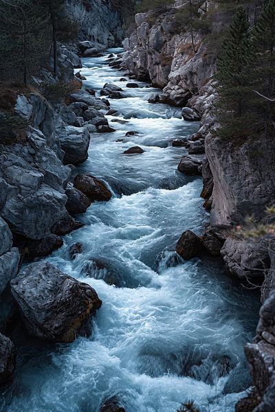 Avontuur in de natuur van fernlichtsicht