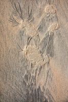 Zand 115