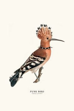 Punk Bird van Jonas Loose
