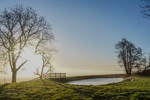 Landschap op een mistige ochtend 1