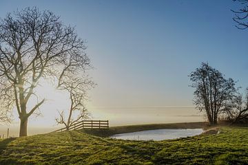 Landschaft an einem nebligen Morgen 1