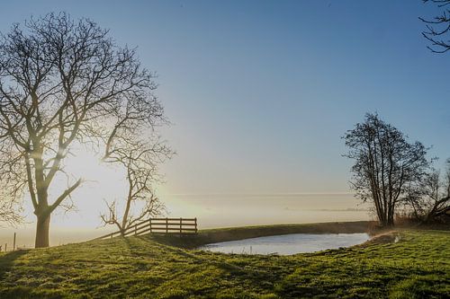 Landschaft an einem nebligen Morgen 1