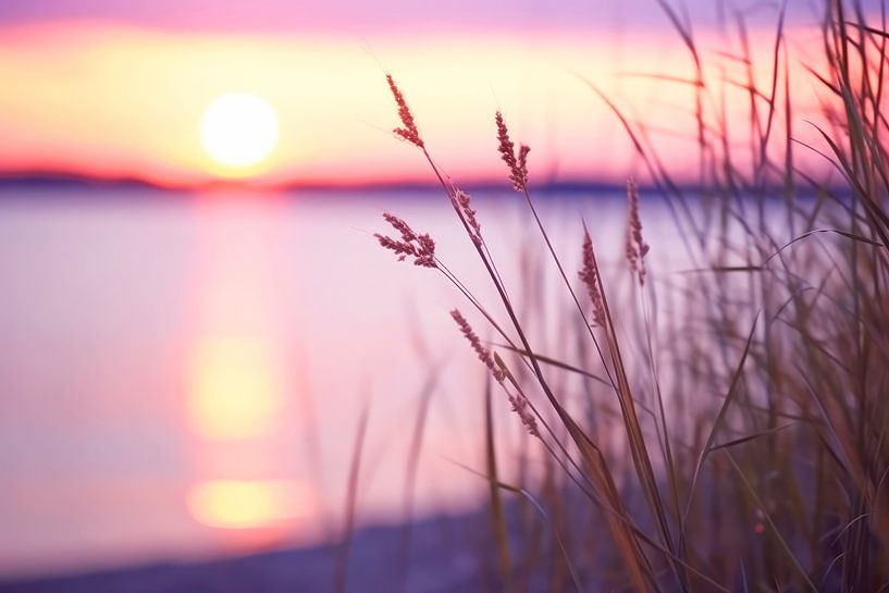 Purple Sunset No 1 by Treechild