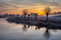 Frost in the morning