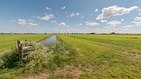 Wide view over the polder landscape Alblasserwaard