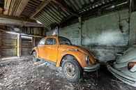 Oranje Volkswagen kever van William Linders thumbnail