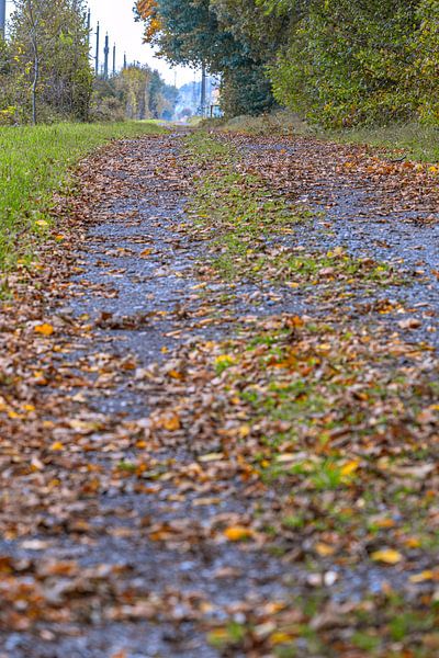 The quiet way into autumn by Photoart-Naegele