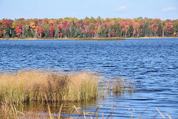 Der See im Herbst von Claude Laprise