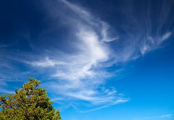 Ciel bleu sur Bo Valentino