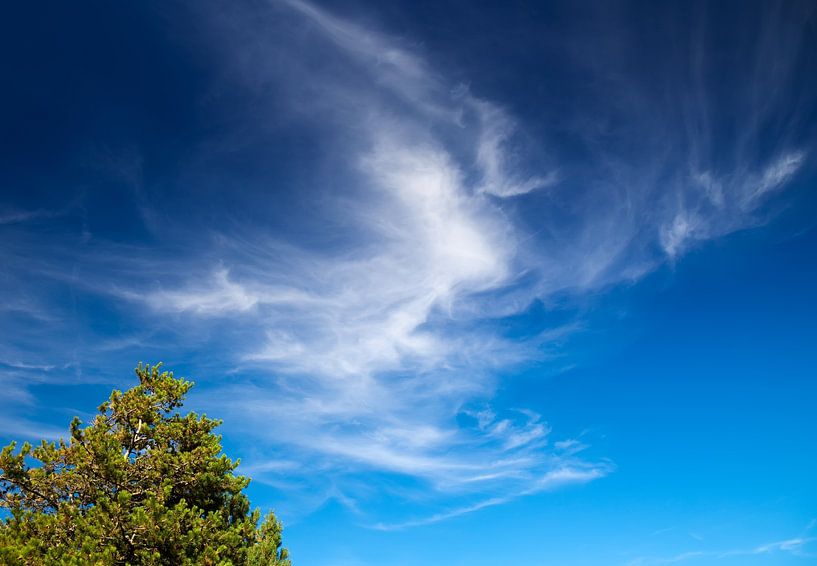 Blue sky by Bo Valentino
