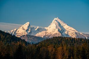 Watzman zum Frühling