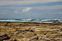 Rotskust Zuid Afrika