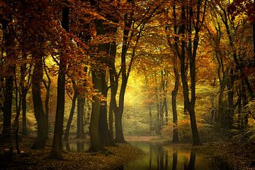 A Light in the Forest II van Kees van Dongen