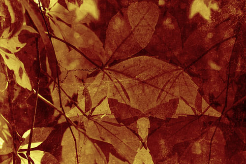 Autumn Leaves Abstract OchreTones
